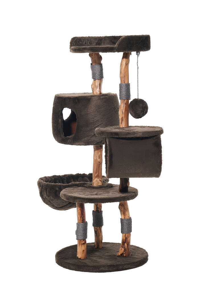 Nobby Kratzbaum Gena